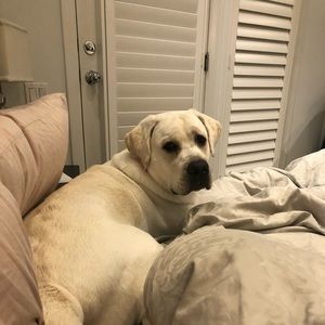 Meet your Posher, Marci